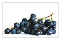 In der Haut von Weintrauben findet sich Resveratrol, ein Stoff mit angeblich vielen gesundheitsfördernden Wirkungen (Foto: birgitH/ pixelio.de)