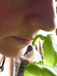 Über 5% der Coronainfizierten leiden unter Geruchs- und/oder Geschmacksproblemem (Foto: Sigrid Rossmann / pixelio.de) Über 5% der Coronainfizierten leiden unter Geruchs- und/oder Geschmacksproblemem (Foto: Sigrid Rossmann / pixelio.de)