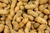 Erdnüsse enthalten hohe Mengen von Phytinsäure - pro 100 Gramm 1336 mg (Foto: w.r.wagner / pixelio.de)