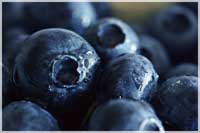 Insbesondere Blaubeeren lassen das Risiko eine Diabeteserkrankung sinken (Foto: birgitH/ pixelio.de)